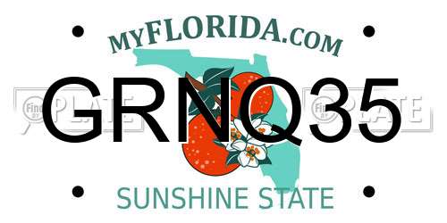 GRNQ35 Florida License Plate