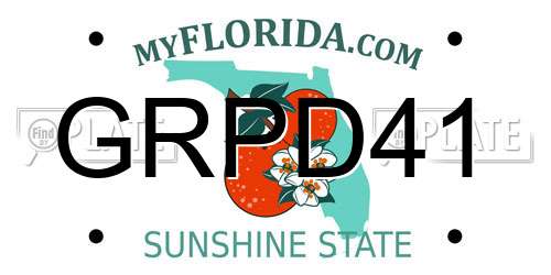 GRPD41 Florida License Plate