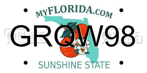 GRQW98 Florida License Plate