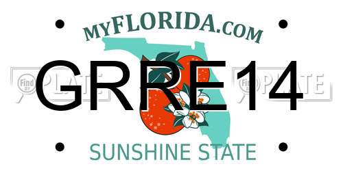 GRRE14 Florida License Plate