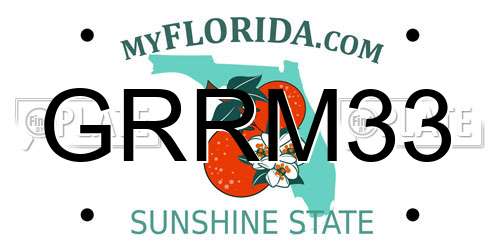 GRRM33 Florida License Plate