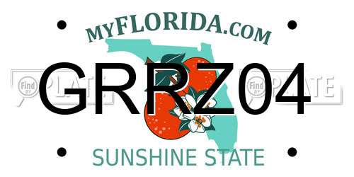 GRRZ04 Florida License Plate