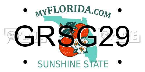 GRSG29 Florida License Plate