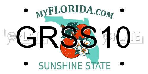 GRSS10 Florida License Plate