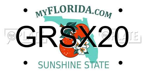 GRSX20 Florida License Plate