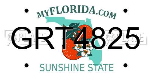 GRT4825 Florida License Plate