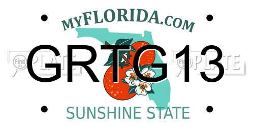 GRTG13 Florida License Plate