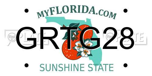 GRTG28 Florida License Plate