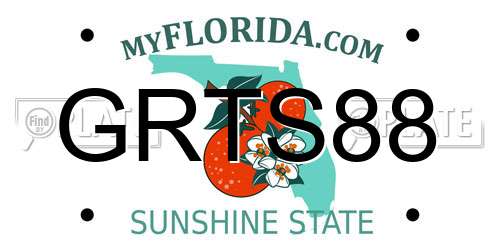 GRTS88 Florida License Plate