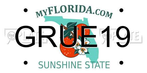 GRUE19 Florida License Plate