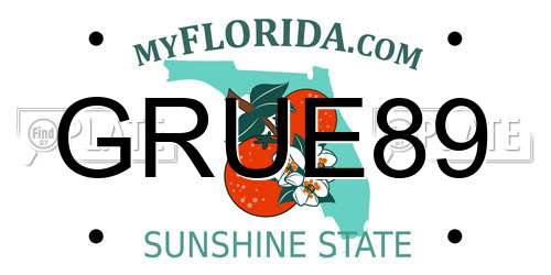 GRUE89 Florida License Plate