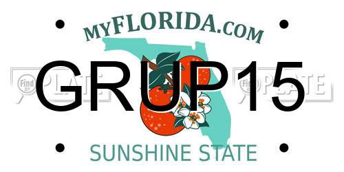 GRUP15 Florida License Plate