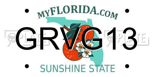 GRVG13 Florida License Plate