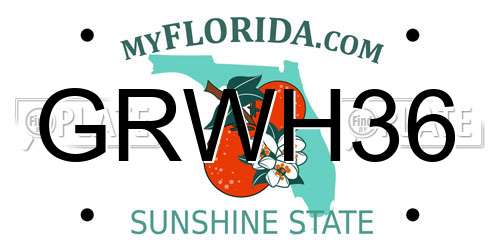 GRWH36 Florida License Plate