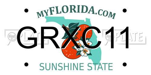 GRXC11 Florida License Plate