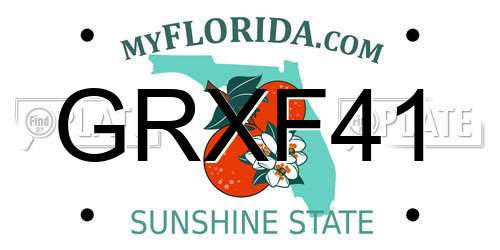 GRXF41 Florida License Plate
