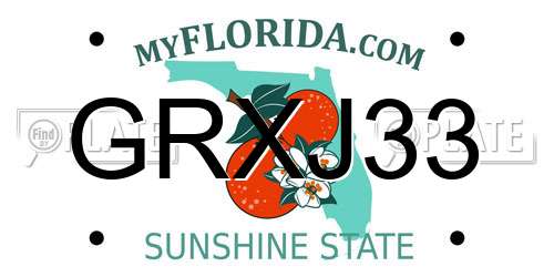 GRXJ33 Florida License Plate