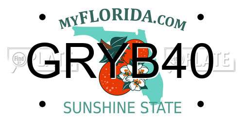 GRYB40 Florida License Plate