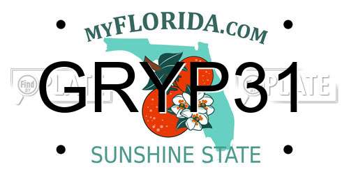 GRYP31 Florida License Plate