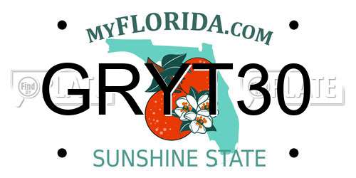 GRYT30 Florida License Plate