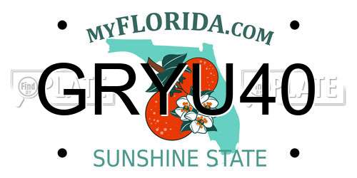 GRYU40 Florida License Plate