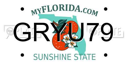 GRYU79 Florida License Plate