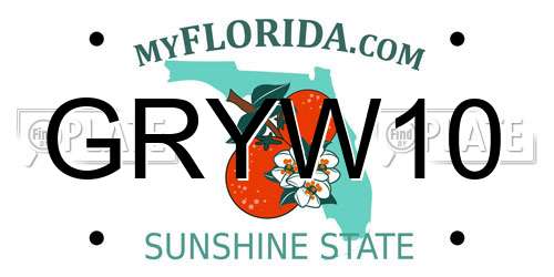 GRYW10 Florida License Plate