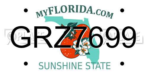 GRZ7699 Florida License Plate