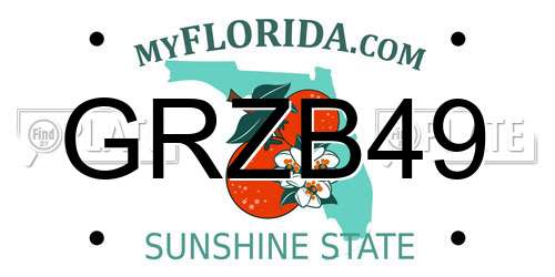 GRZB49 Florida License Plate