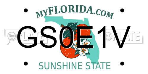 GS0E1V Florida License Plate