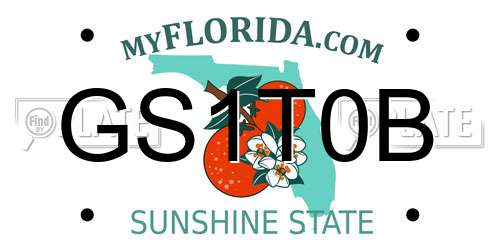 GS1T0B Florida License Plate
