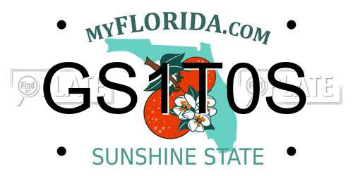 GS1T0S Florida License Plate