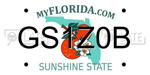 GS1Z0B Florida License Plate
