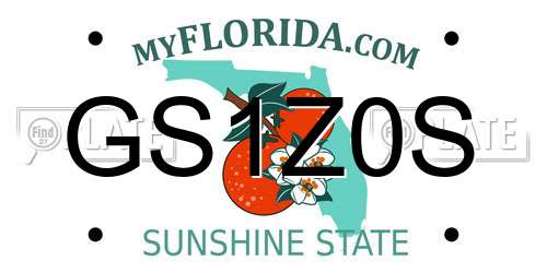 GS1Z0S Florida License Plate