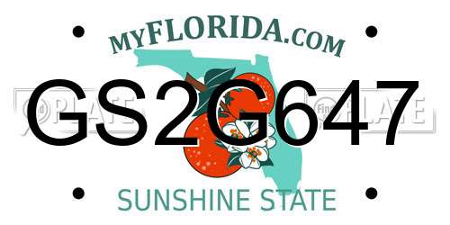 GS2G647 Florida License Plate