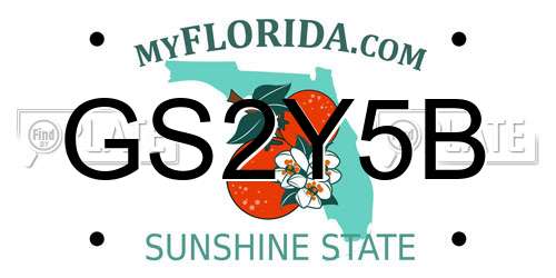 GS2Y5B Florida License Plate