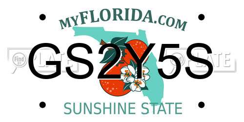 GS2Y5S Florida License Plate