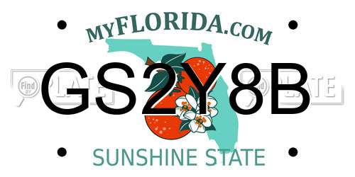 GS2Y8B Florida License Plate