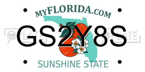GS2Y8S Florida License Plate
