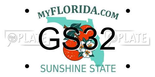 GS32 Florida License Plate
