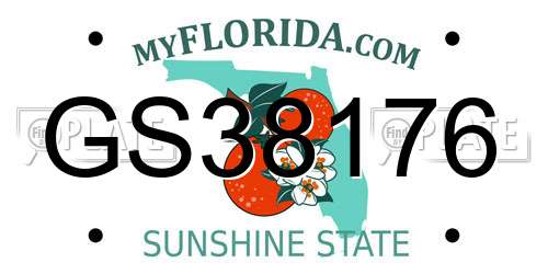 GS38176 Florida License Plate