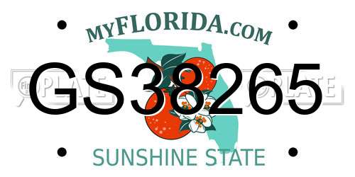 GS38265 Florida License Plate