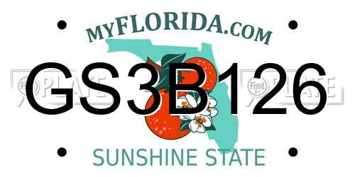 GS3B126 Florida License Plate