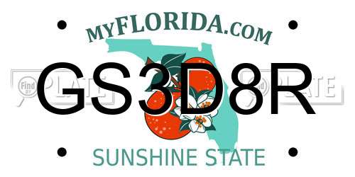 GS3D8R Florida License Plate