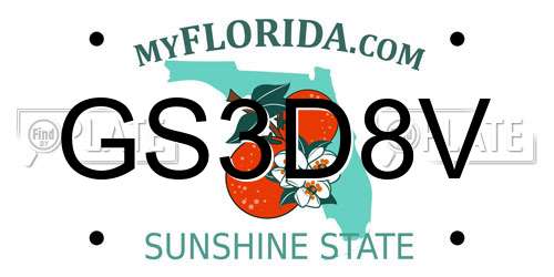 GS3D8V Florida License Plate