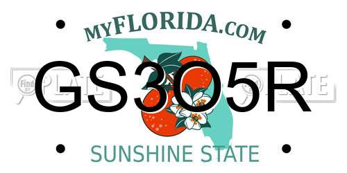 GS3O5R Florida License Plate