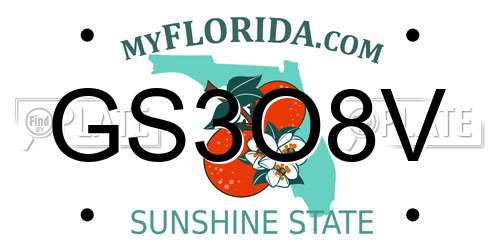 GS3O8V Florida License Plate