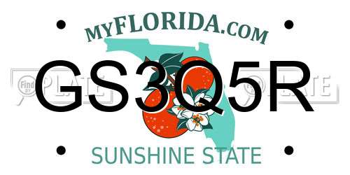 GS3Q5R Florida License Plate