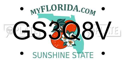 GS3Q8V Florida License Plate