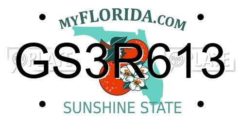 GS3R613 Florida License Plate